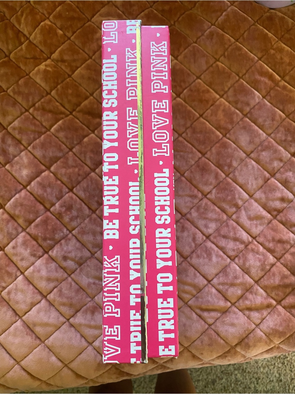Vintage 2000s Victorias Secret PINK gift box with dog - Picture 2 of 4